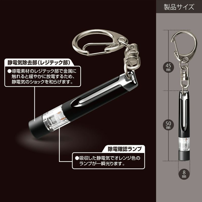 DZ461 静電気除去 キーホルダー レジテック シルバーメッキ