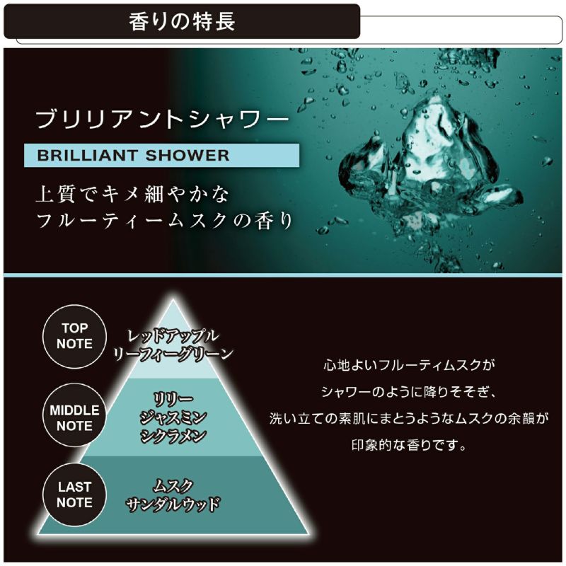 H215 ブラング エアスティックカートリッジ プラチナシャワー