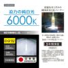 カーメイト ギガ GHB260N パーフェクトスカイ D2R/Sバーナー hid giga carmate