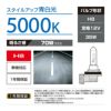 カーメイト ギガ BD1029N ザ・ブループラス5000K H8 giga carmate