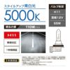 カーメイト BD1129N ザ・ブループラス5000K H11 giga carmate