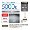 カーメイト BD1629N ザ・ブループラス5000K H16 giga carmate