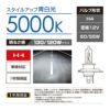 カーメイト BD429N ザ・ブループラス5000K H4 giga carmate