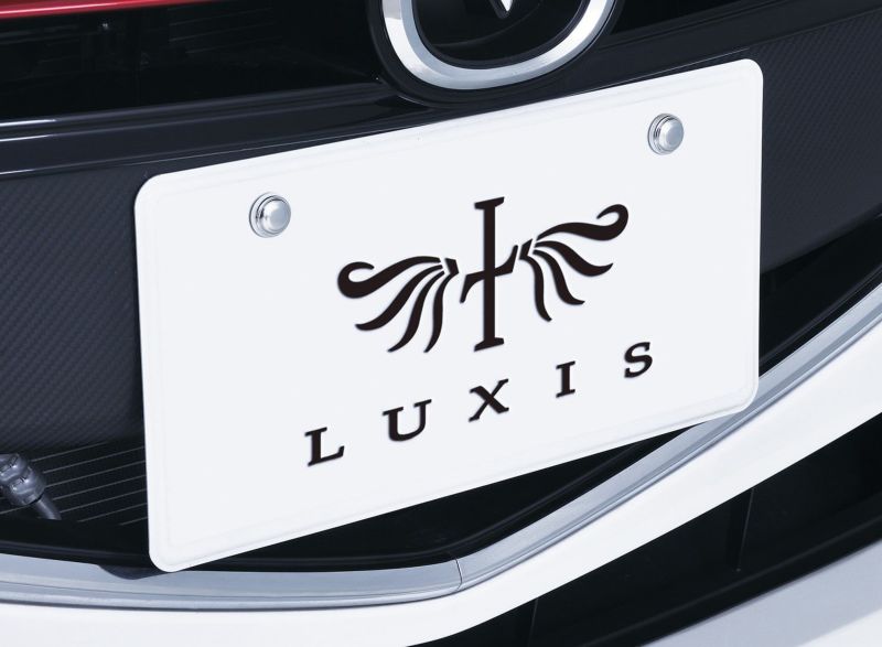 ストレッチーズM DVD付き LS412 LUXIS セキュリティボルト&キャップ ベーシック2