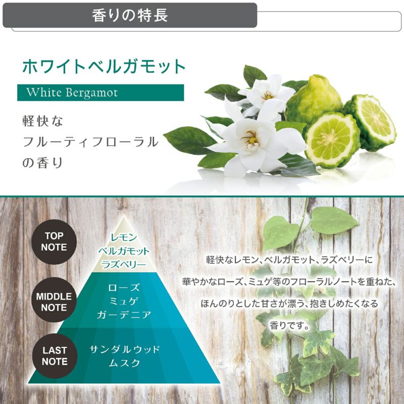 LABORATORIO OLFATTIVO ラボラトリオ・オルファティーボ