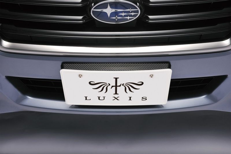 LS397 ラグジス LUXISナンバースティ カーボンルック
