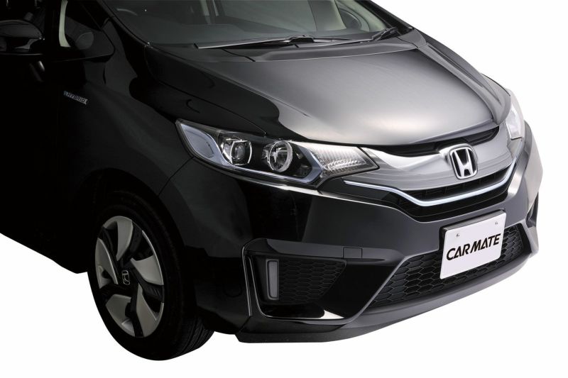 LS397 ラグジス LUXISナンバースティ カーボンルック | カーメイト