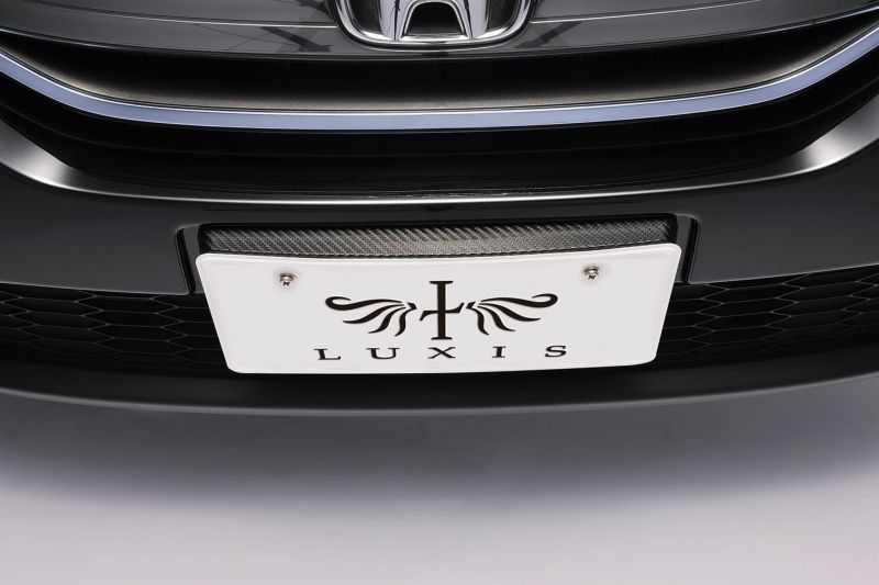LS397 ラグジス LUXISナンバースティ カーボンルック