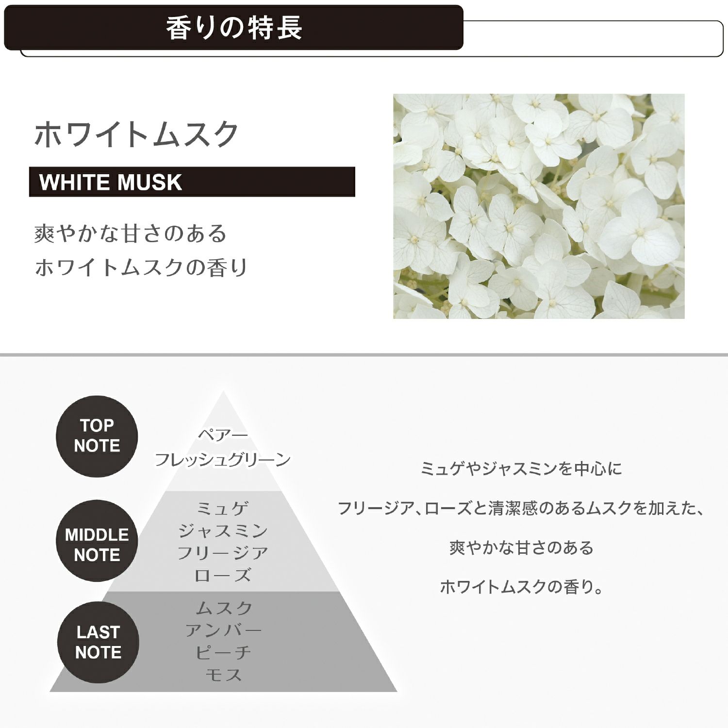 Dh424 ルーノ フレグランススプレー ホワイトムスクｎ カーメイト 公式オンラインストア本店