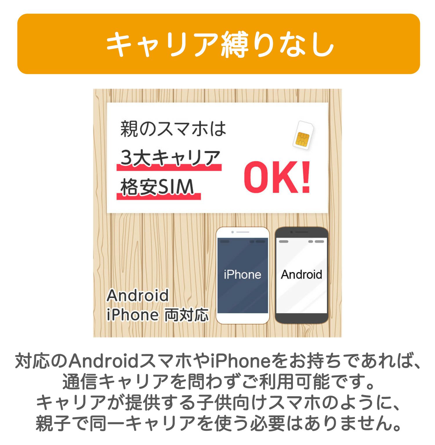 カーメイト DX900 coneco (コネコ) お子様みまもり用GPS端末 carmate