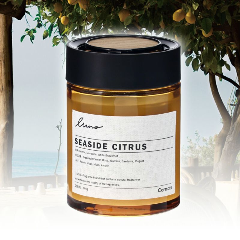 シーラカンス　ハンドメイド 魚にまつわるハンドメイド雑貨｜フィッシュブレスレット・シーラカンス