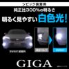 カーメイト LED BW581 GIGA LEDフォグバルブ S2800GS 6000K 2800lm ギガ