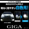 カーメイト LED BW581 GIGA LEDフォグバルブ S2800GS 6000K 2800lm ギガ