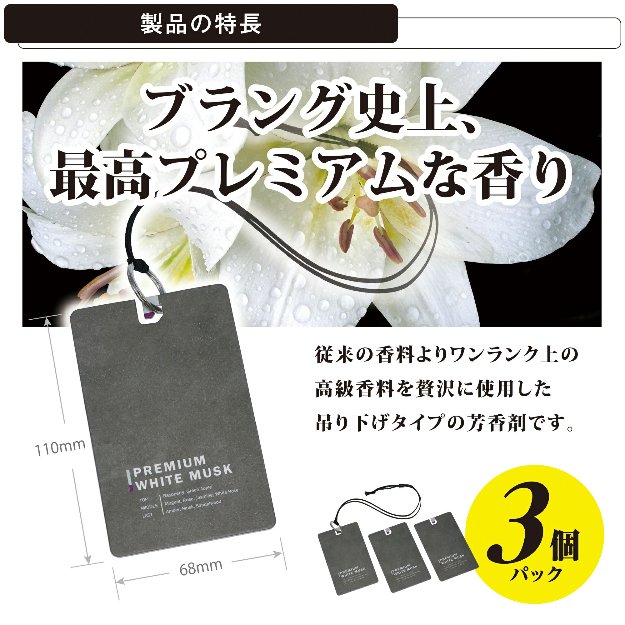 dlike HYBRID用ギルド吊り下げカーボンプレートセット H1661 ブラング ハンギング NL プレミアムホワイトムスク | カーメイト