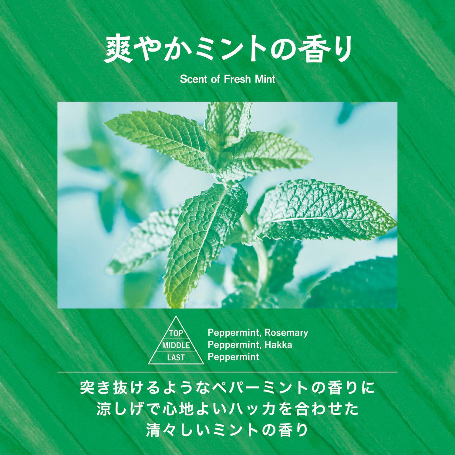 タップミント様専用 mint様ありがとうございます インチ額6個