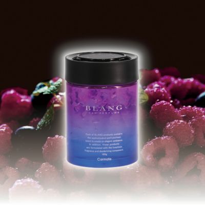 BLANG 芳香剤 １０セット　♡さん専用 BLANG（ブラング） | カーメイト 公式オンラインストア本店