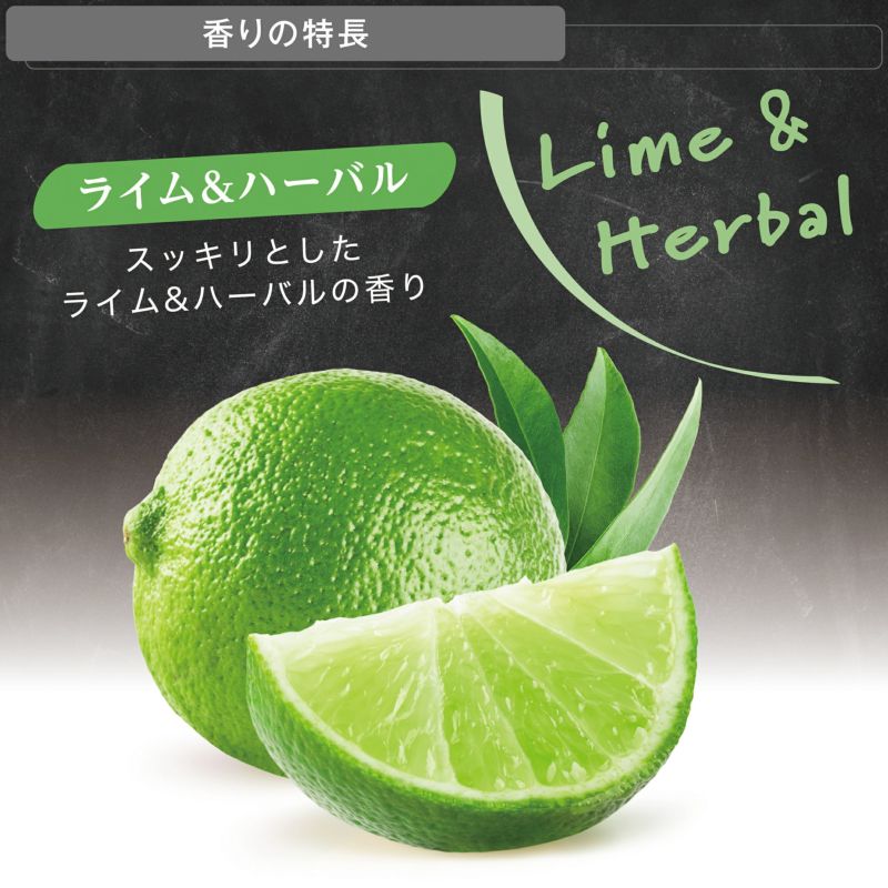 白緑ドリームメイト　アドバンス対応 新商品／梅雨対策 1時間で洗濯物が乾く！ パッと開いてさっと