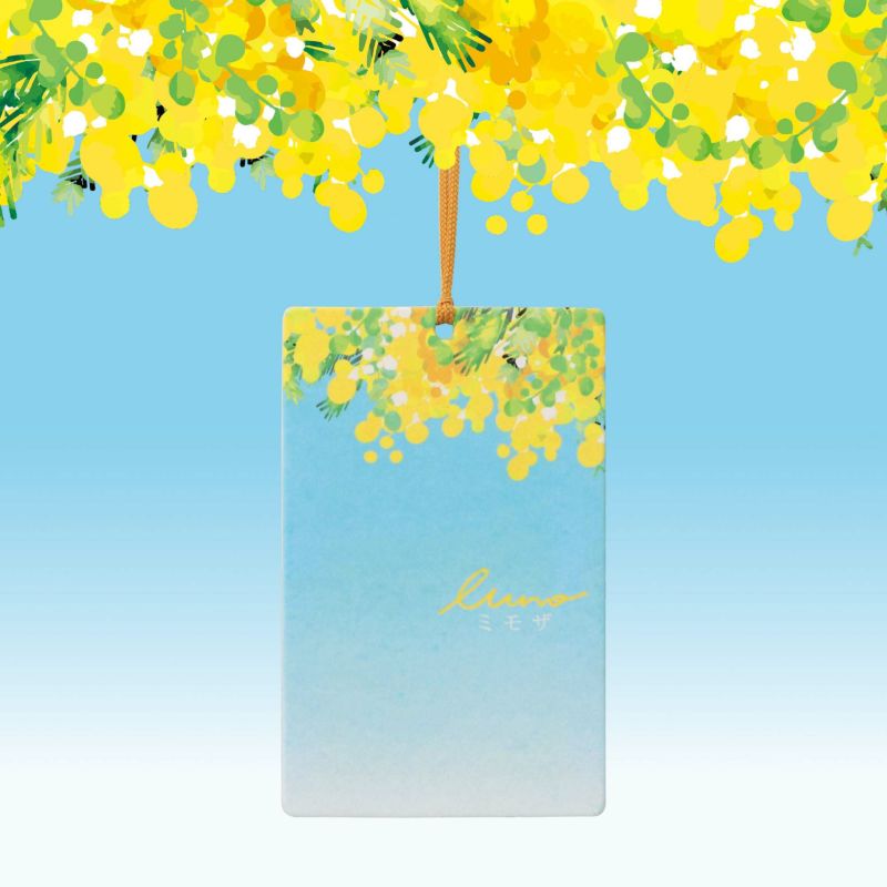 000000004532-01-m.jpg?t=